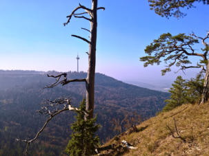 Plettenberg / Dotternhausen